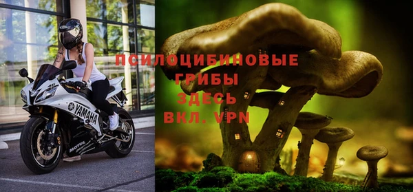 кокс Богородск