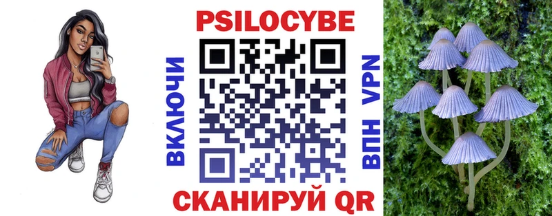 Купить закладки  Михайлов  Галлюциногенные грибы мицелий 
